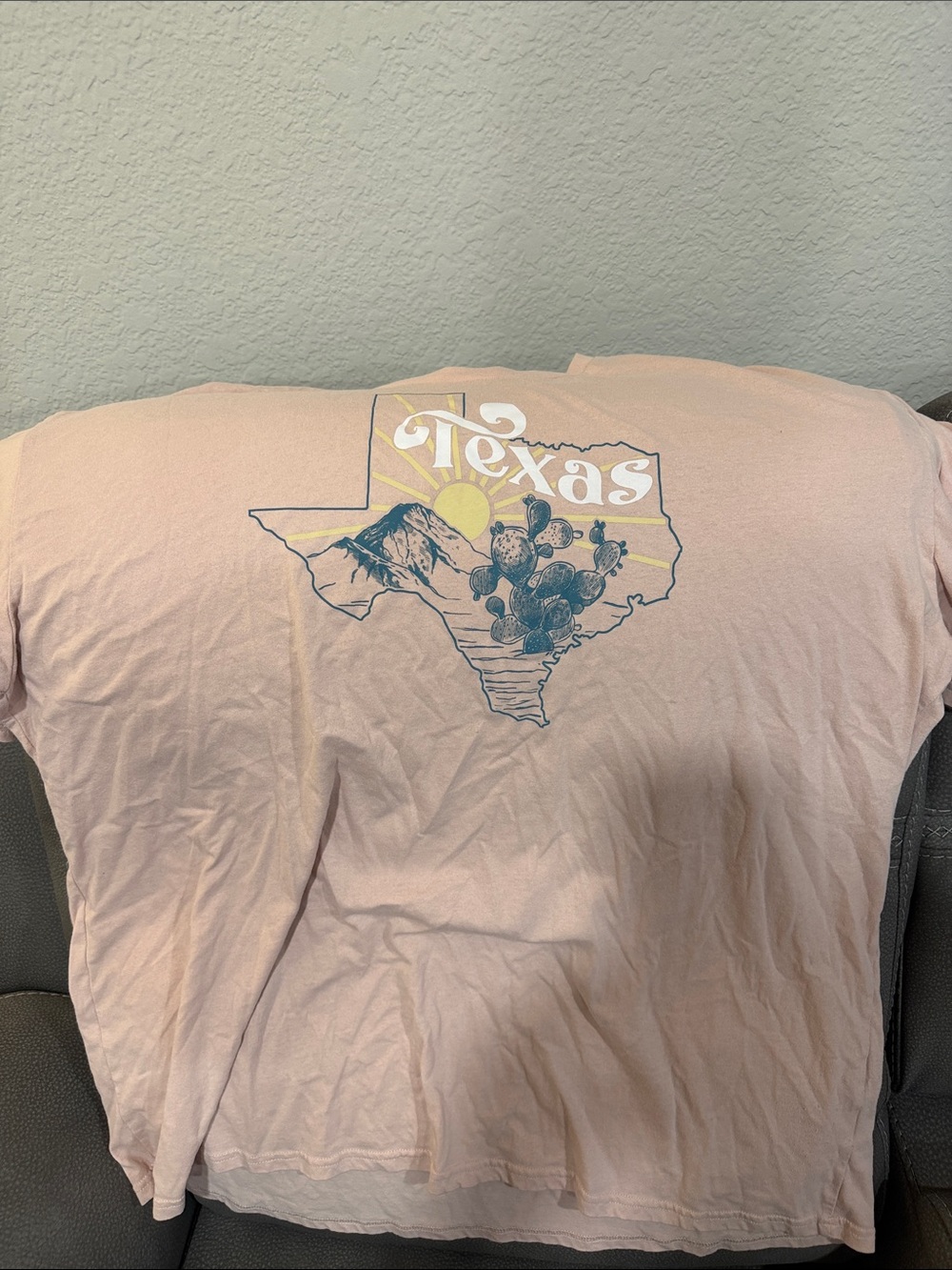 Texas Graphic Tee in Light Pink